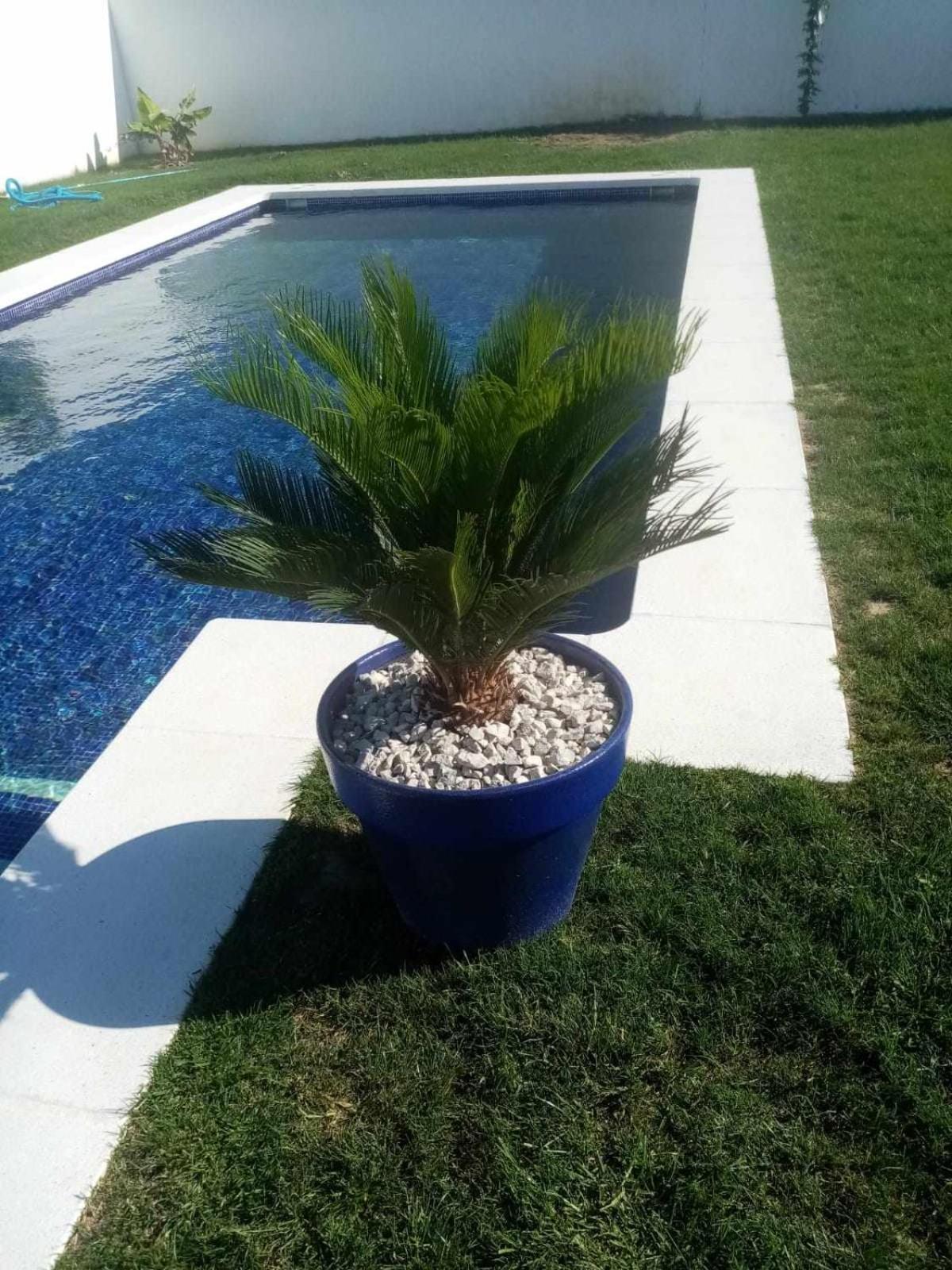 Las Casitas De La Barrosa Con Jardin Y Piscina Chiclana de la Frontera Ruang foto